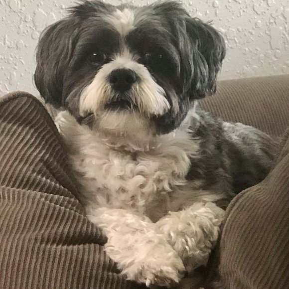 ๐ About Me ๐ - Picture 10 of 11